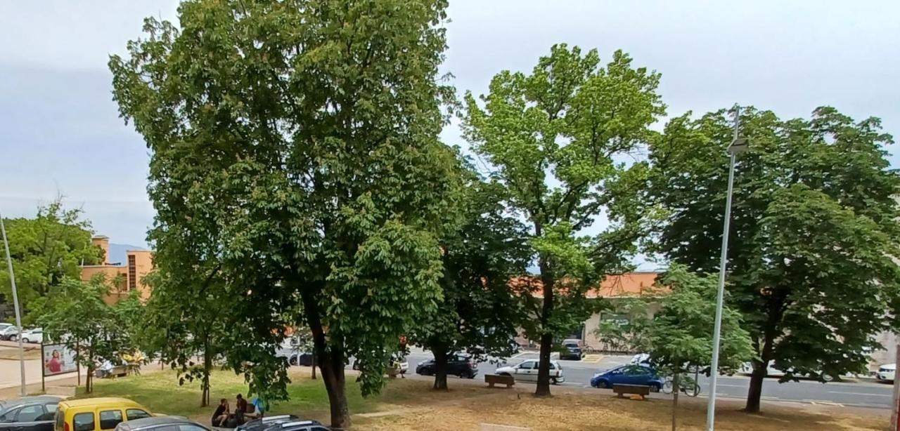 Luminosissimo Appartamento Viareggio Centro Bagian luar foto